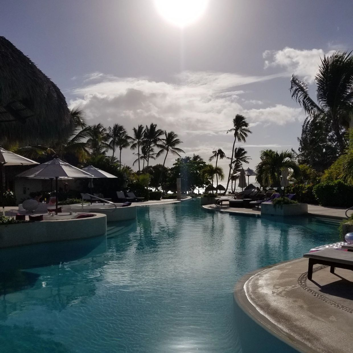 A serene poolside scene with palm trees under a bright sun.
