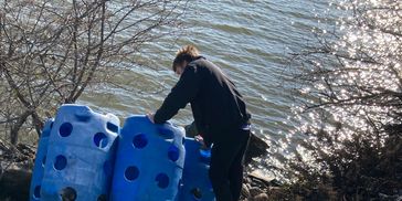 Person interacting with blue barrels near a water body.