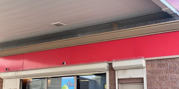 Bird spikes 