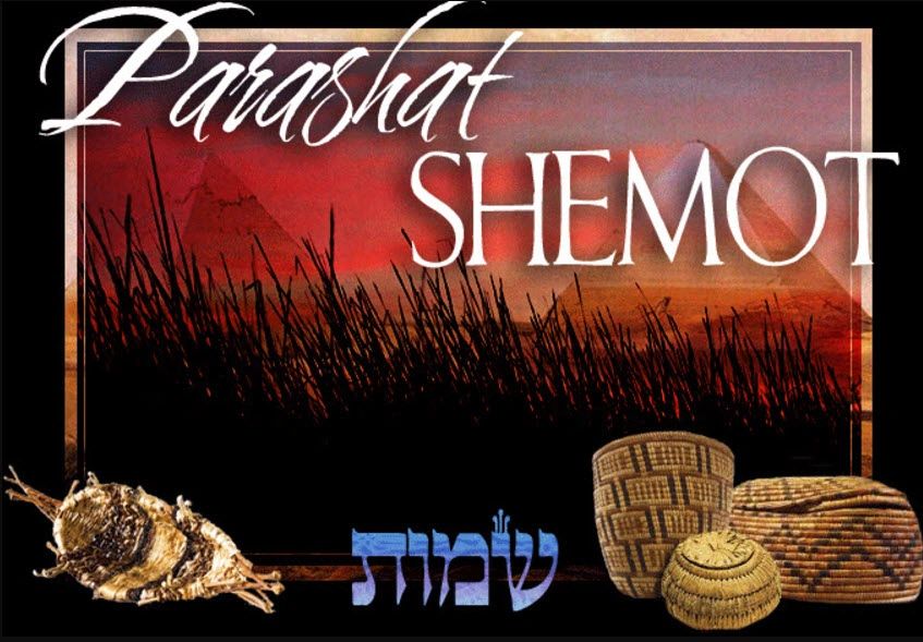 Week 16: Parshat Shemot