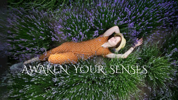 WOMAN lying  IN LAVENDER FIELD.
Awaken your senses