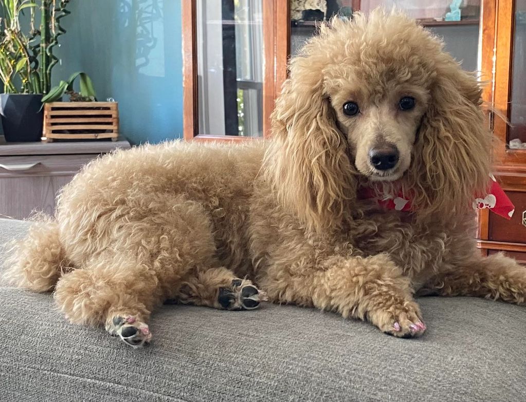 Hi, my name is Love.

Love is one of our mom's here at Cedar Falls Ranch.  