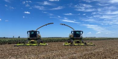 Two agricultural machines harvesting crops in a field under a blue sky.