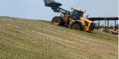 A yellow JCB loader working on a steep grassy slope.