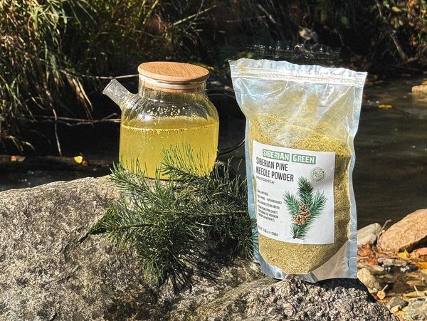 Glass teapot with yellow tea and Siberian pine needle powder on a rock.