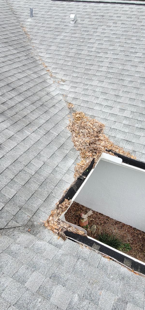 Leaves sitting in the valley of a roof creates moisture on the roof and can cause leaks.