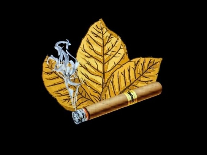 sticks tobacco Tobacco Sticks
