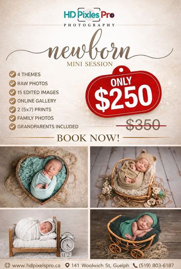 Newborn photography mini session offer with four themes for $250.