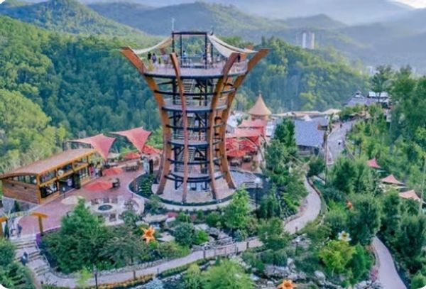 A scenic lookout tower in a lush green mountainous park.