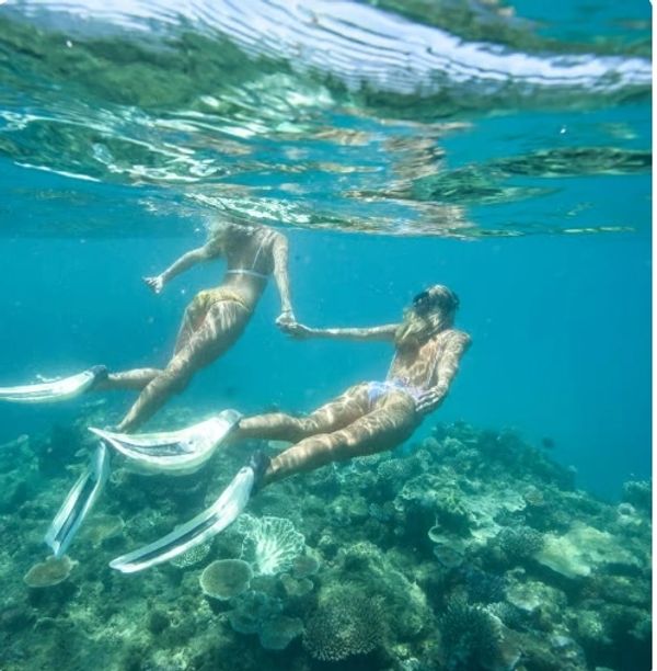 Snorkel the stunning Great Barrier Reef at protected sites. Enjoy a day with expert guides on a cust
