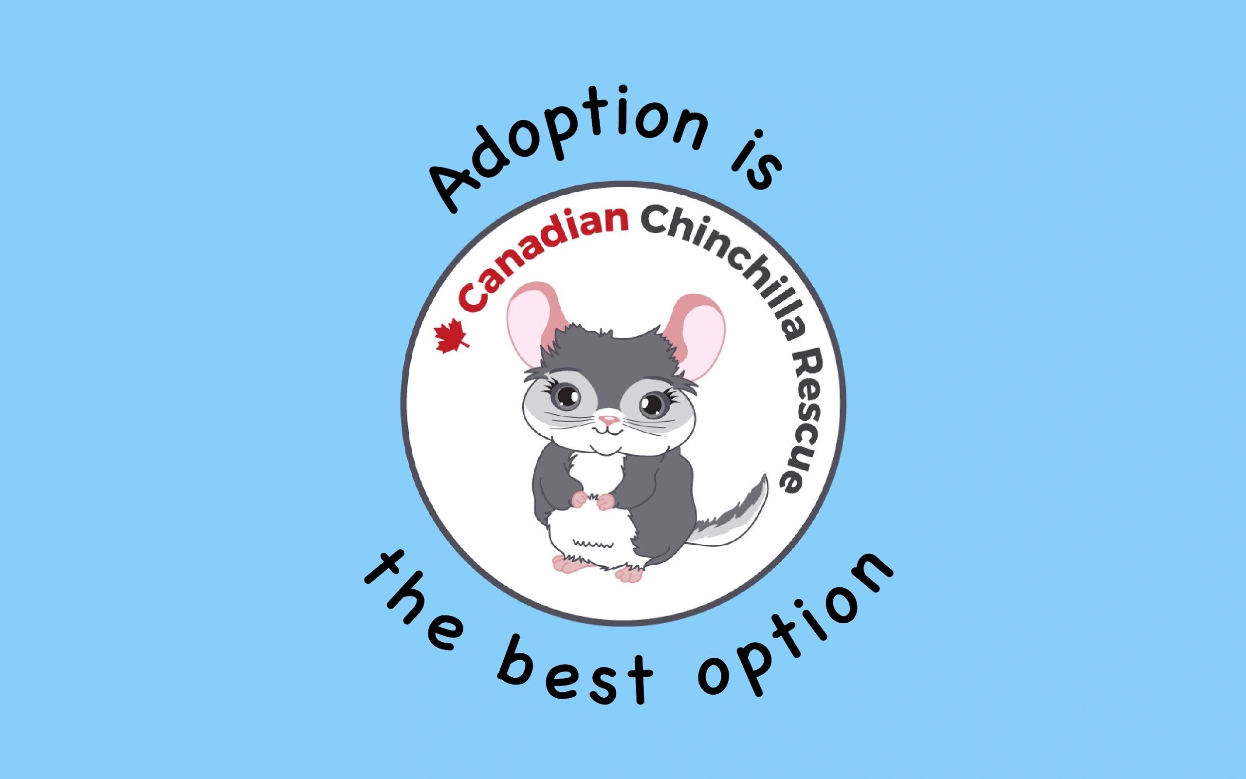 Health Canadian Chinchilla Rescue health-canadian-chinchilla-rescue