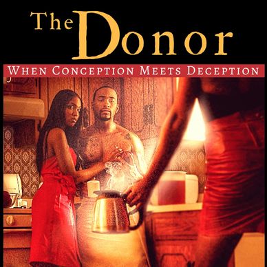 The Donor book cover