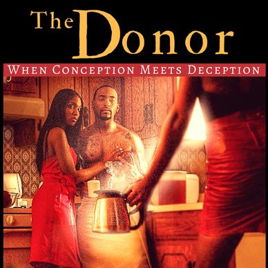 The Donor book cover