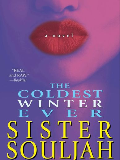 The Coldest Winter Ever book cover