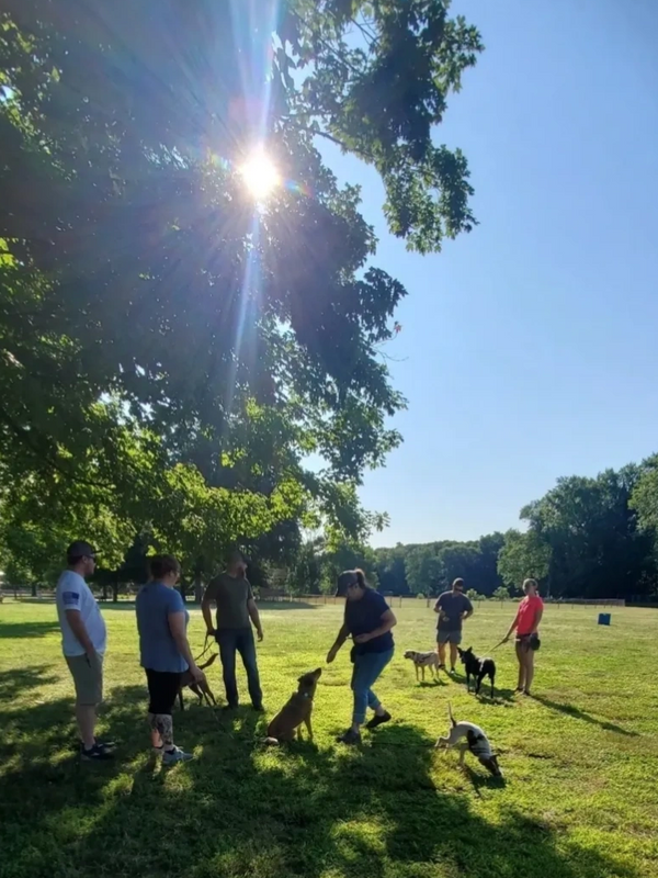 Outdoor Group Dog Training