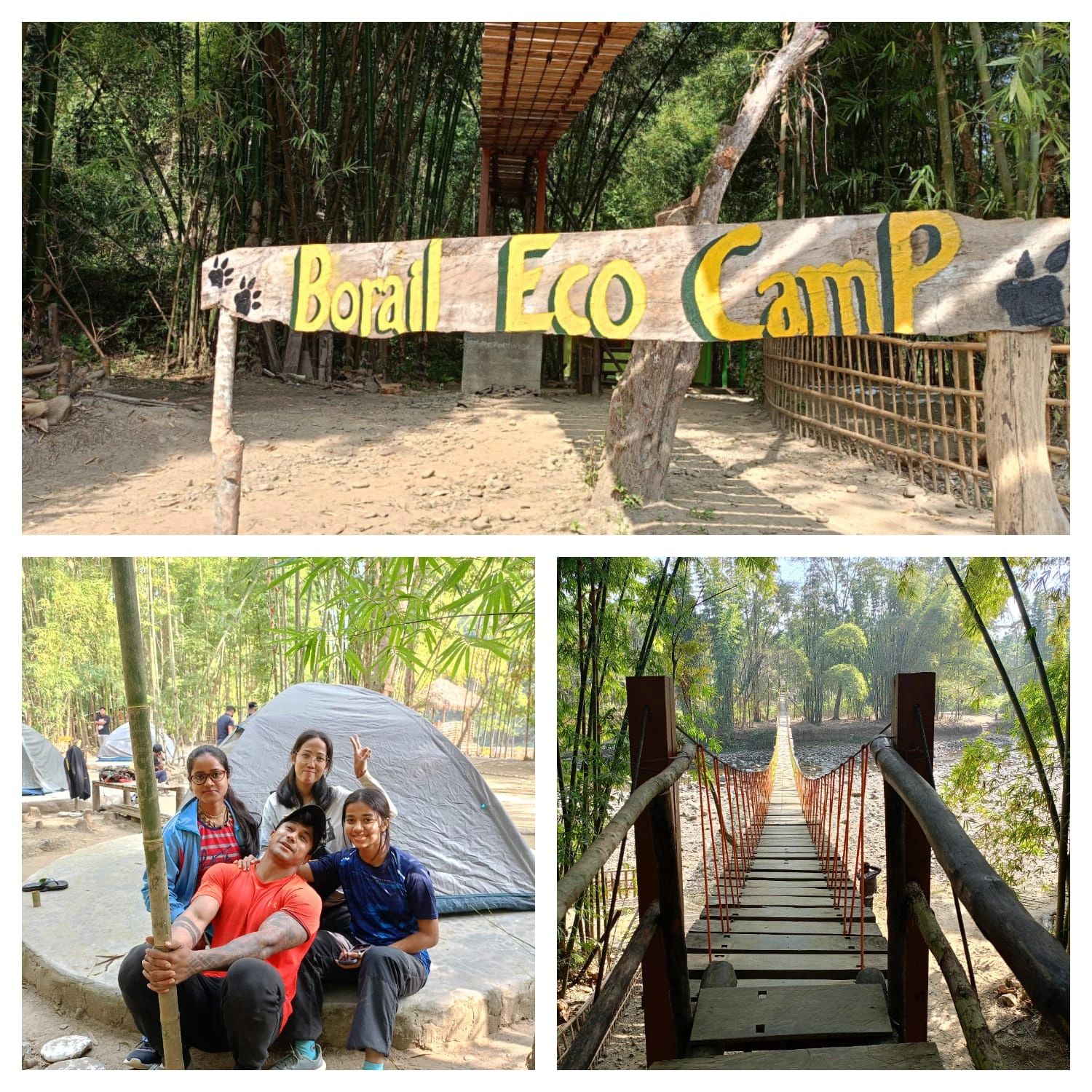 Borail Eco Camp entrance, group camping, and a suspension bridge in a lush bamboo forest.