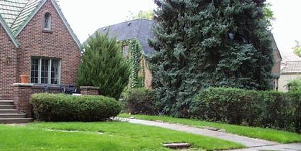 A quaint brick house with a lush green front yard and tall trees.