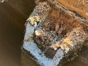 Root Removal from Septic Tank 