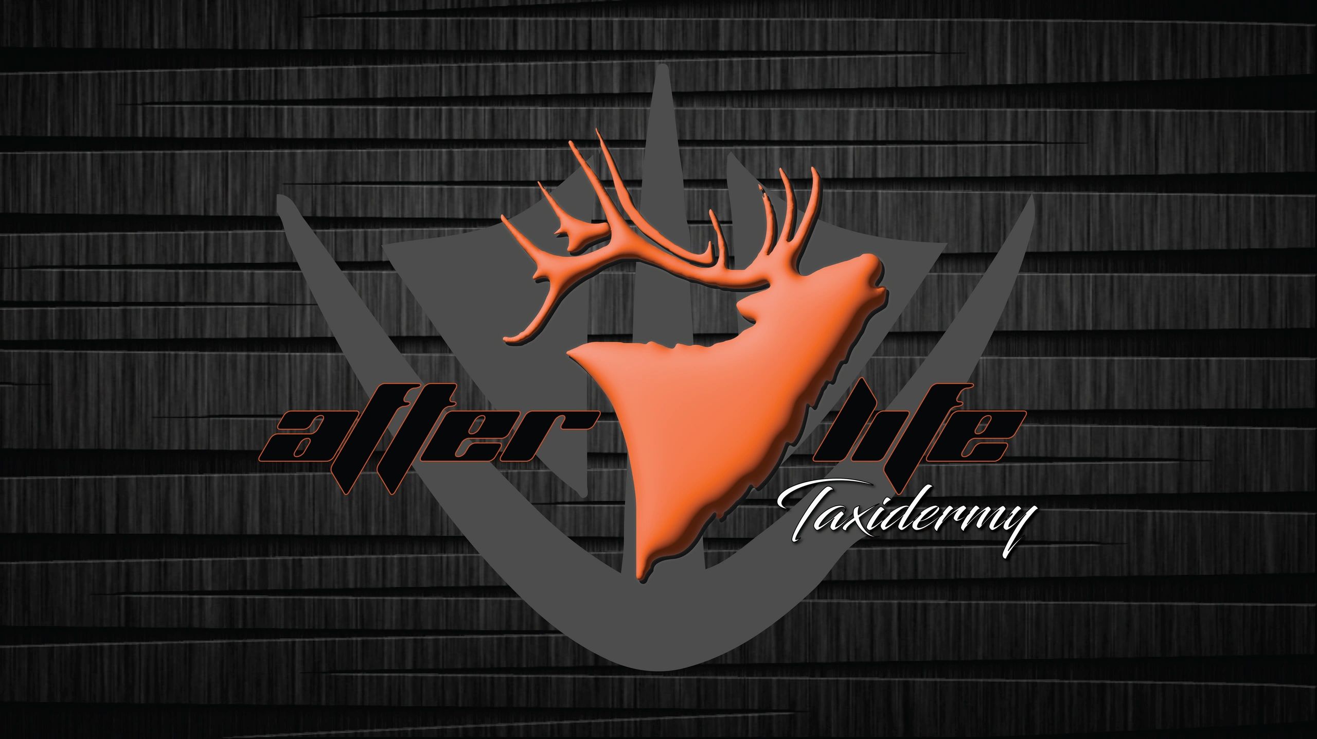 Pet taxidermy near me