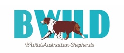 BWild Australian Shepherds