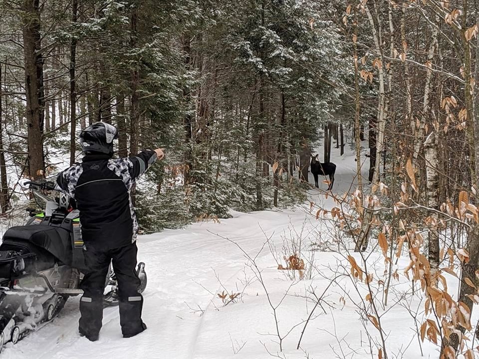 Washington Snow Riders, Inc