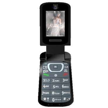 3D Model of a Flip Phone