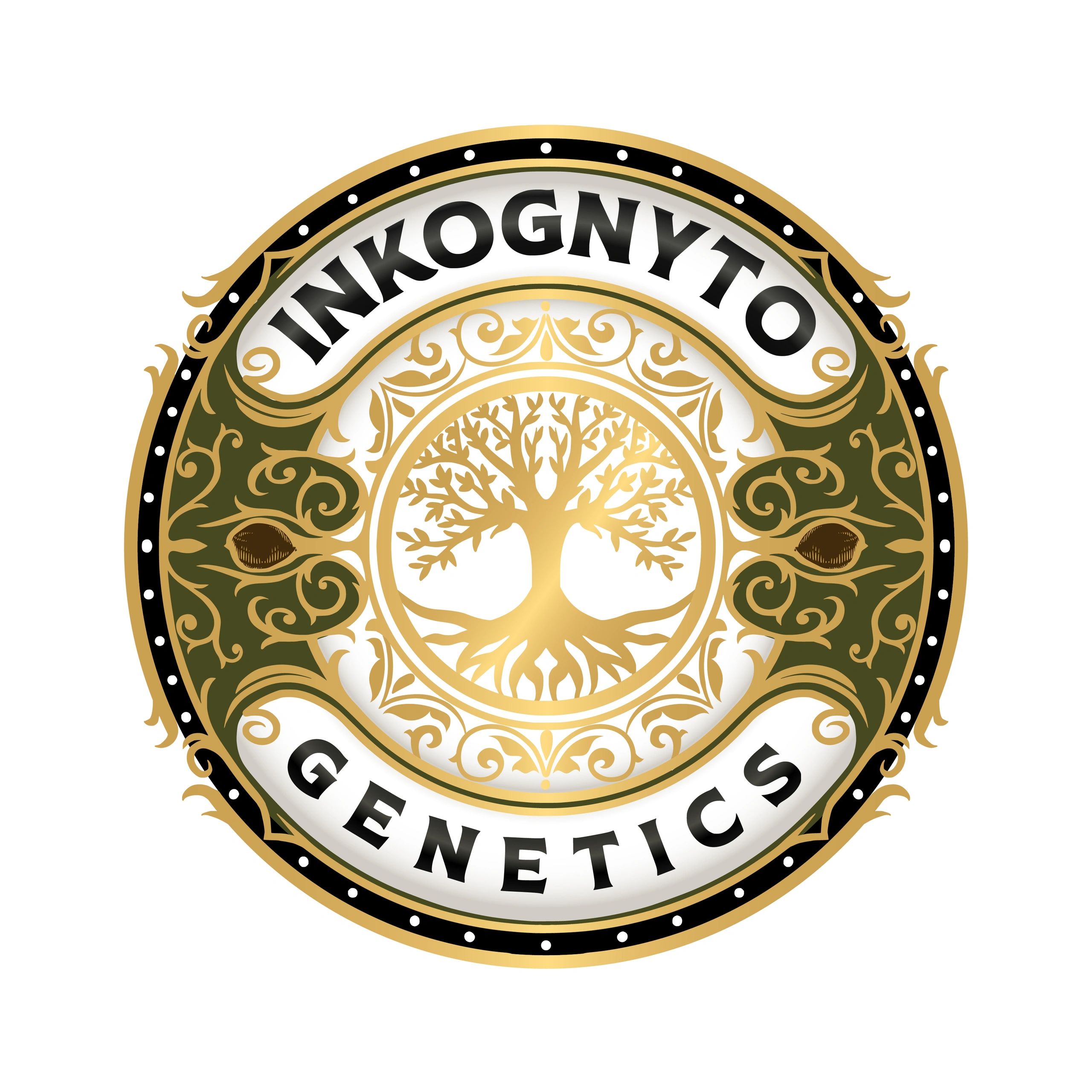 inkognytogenetics.com