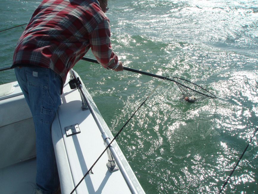 Charter Rates Osprey Lake Erie Fishing Charters