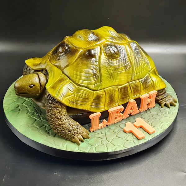 Tortoise cake 
