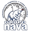 Grupo Nava