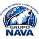 Grupo Nava