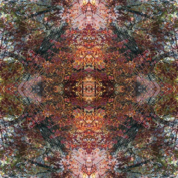 Symmetrical kaleidoscopic pattern of autumn trees and leaves.