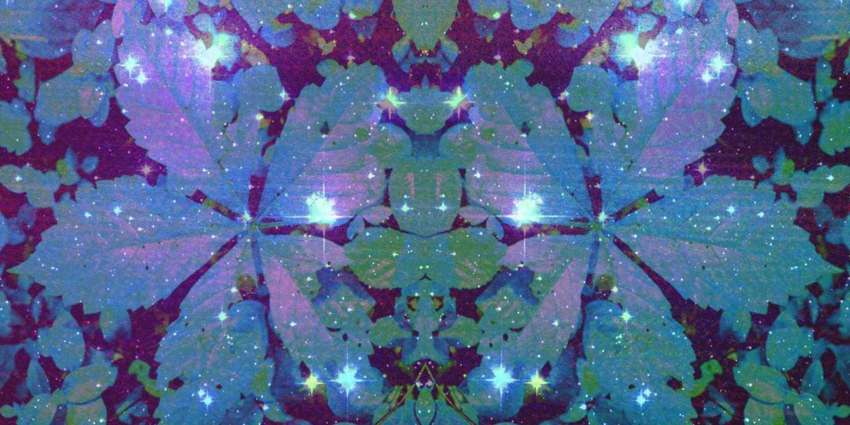 Glowing leaves with star-like sparkles create a mystical, cosmic pattern.