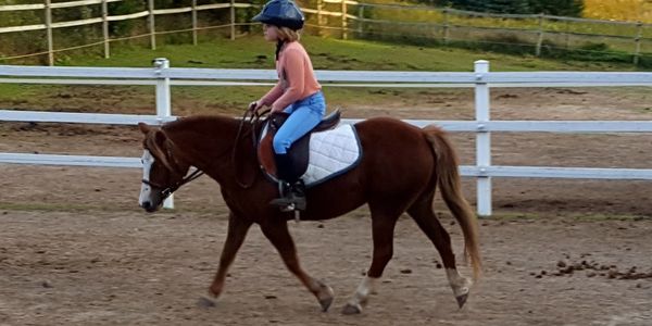 A child rides a horse in an arena.