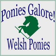 Ponies Galore!
Welsh Ponies