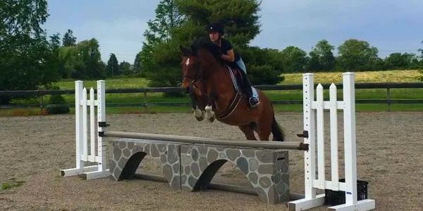 Horse and rider jumping over an obstacle outdoors.