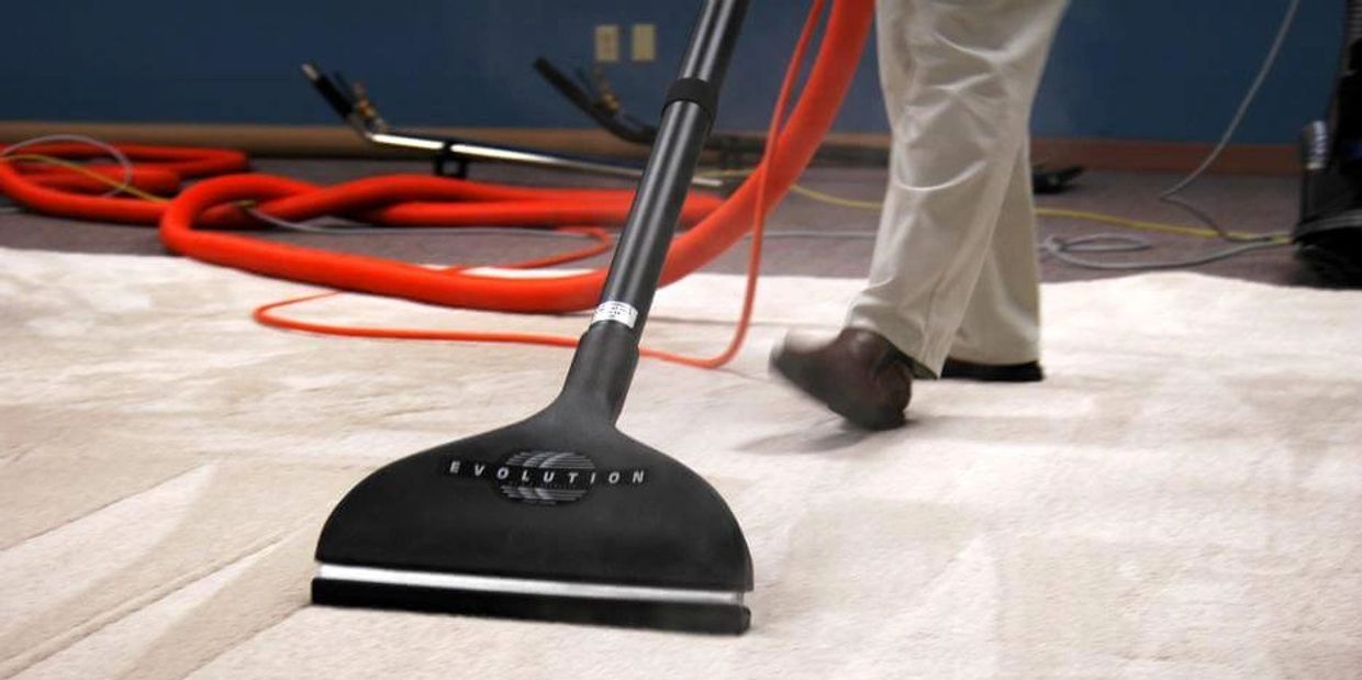 Best Carpet Cleaner Bulldog Carpet Cleaning