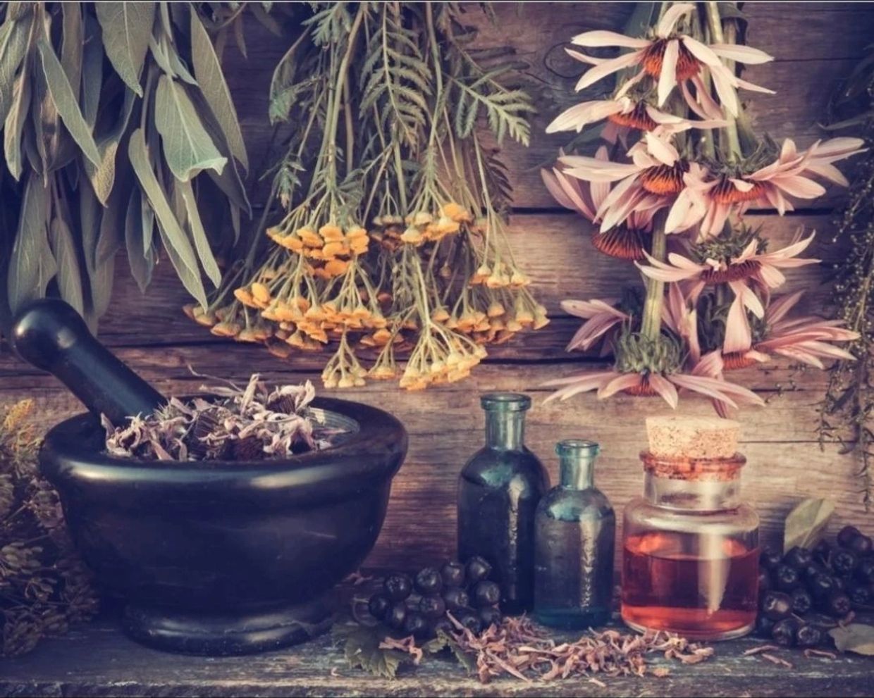 Vintage herbal medicine setup with dried flowers, a mortar and pestle, and glass bottles.