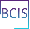 BC Investigative Services