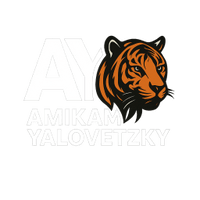 Amikam Yalovetzky