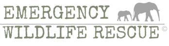 End Wildlife Trafficking