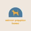 Mirror Puppies Home 