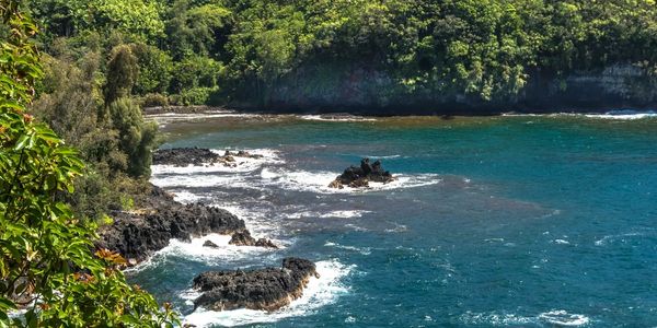 Lush tropical Onomea Bay coastline with rocky shores and vibrant blue ocean under clear skies.