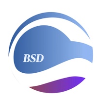 BSD Business Consulting