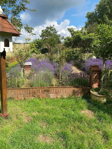 Small garden wall 