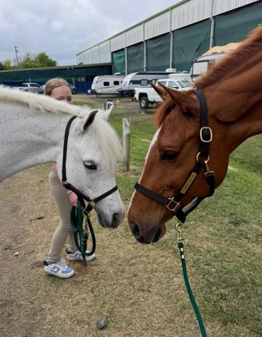 Two horses touching noses in a stable area.