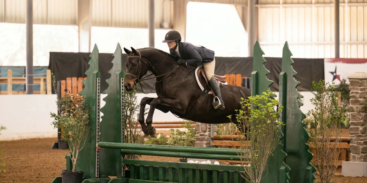 Equestrian rider jumping a dark horse over a green obstacle indoors.