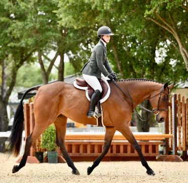 Rider in equestrian attire guides a brown horse in an outdoor arena.