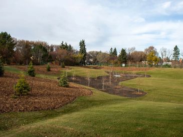 A landscaped park with grassy areas and young trees.