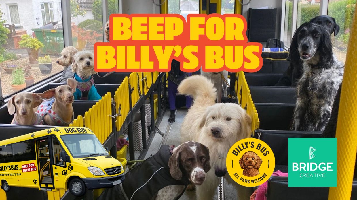 Dogs enjoying a ride on Billy's Bus, a special dog-friendly transport service.